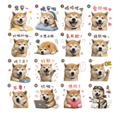 845742987