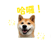 845743897
