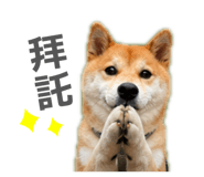 845743904