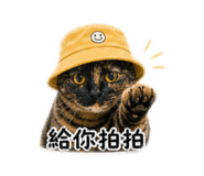 845744681