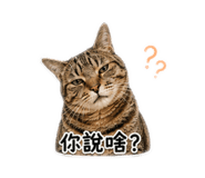 845744690