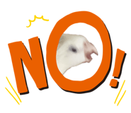 845744801