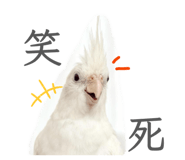 845744810