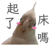 845744814