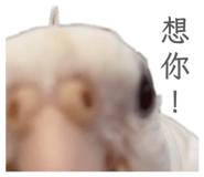 845744818