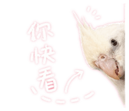 845744821