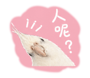 845744823