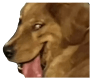 845745020