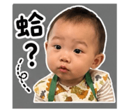 845745135