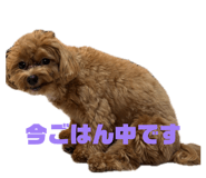 845745468