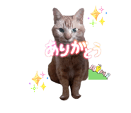 845745738