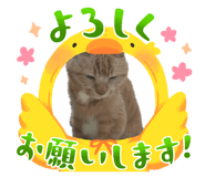 845745752