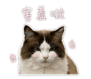 845745764