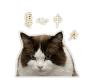 845745774