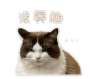 845745776