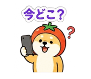 845746736
