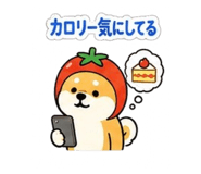 845746744
