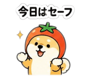 845746747