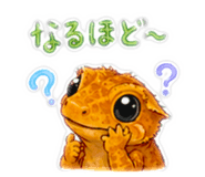 845746816