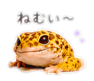 845746991