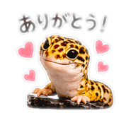 845747000