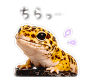 845747001
