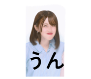 845747278