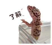 845747431