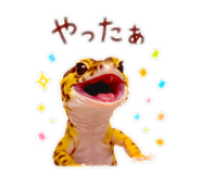 845747436