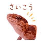 845747437
