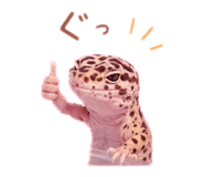 845747438