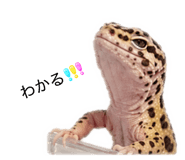 845747439