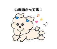 845747576