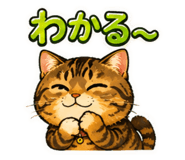 845748437