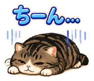 845748456