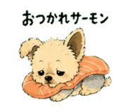 845749224