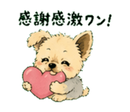 845749243