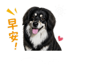 845751609