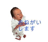 845752818