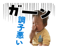 845753003