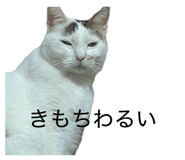 845753048