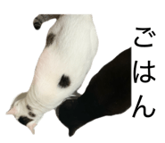 845753054