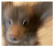845753222