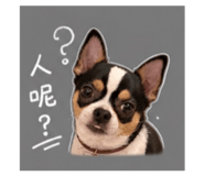845753275