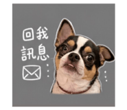 845753277