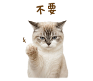 845754678