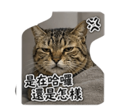 845755075