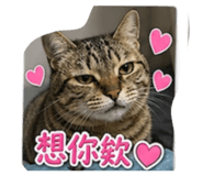 845755086