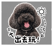 845755114