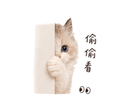 845756971